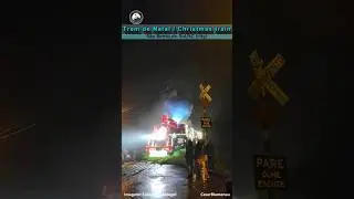 🇧🇷  Trem de Natal 2024 / Christmas Train 2024 - (Brasil) #christmastrain #shortsvideo