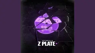 Z Plate