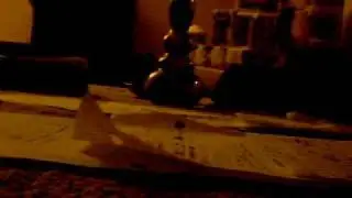 know your roll (original)