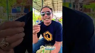 Review Event Melody kicau Tegal