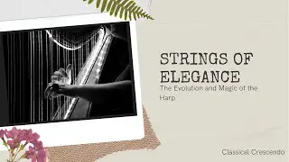 The Harp: History, Evolution & Musical Magic ✨ | Strings of Elegance