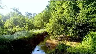 Blue Heron Nature Preserve Atlanta