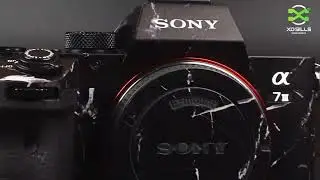 Celebrating World Photography Day | XO Bills Media & Events | Join us