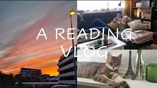 A reading vlog from the couch! Piranesi, Anne Bront&euml;, Irish lit.fic.