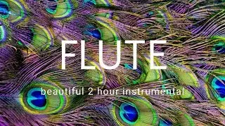 best relaxing flute music for meditation, work or study 2019 with peacock dance
