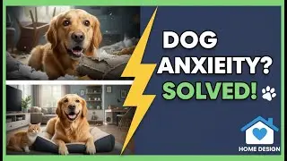 The Canine-Centric Home Blueprint: Design Your House to End Dog Anxiety & Destructive Behavior