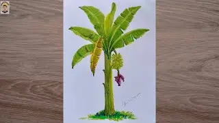 Easy banana tree drawing with soft oil pastel color | banana tree art