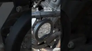 Maddog Alpha X Himalayan 450 Review #maddogalpha #himalayan450