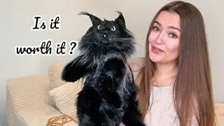 Cute Cat-Shaped Backpack Unboxing 🐱 | Amazon Fashion & Gift Find