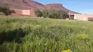 دوار امدغار
