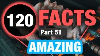 120 Incredibly Interesting Facts