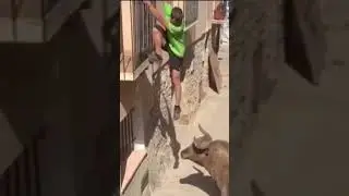 Angry Bull Charges at Man on Balcony  Real Bull Attack Footage in Spanish Town #short  #bulldodging