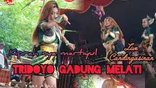 KIPRAHNYA MARTIYULLLL‼️ TRIDOYO GADUNG MELATI 📍 CANDINGASINAN.
