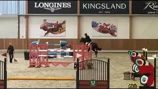 „ COCONETTA „ *2015 Colestus x Cornet Obolensky CSI Riesenbeck 