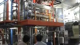 Grape clear juice processing