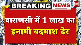 Banarasi Yadav Encounter: UP STF को मिली बड़ी सफलता, Varanasi में 1 लाख का इनामी बदमाश ढेर | CM Yogi