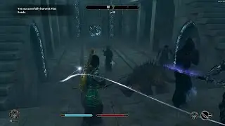 Mankar Camoran Boss Fight: The Elder Scrolls IV  Oblivion Remastered