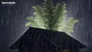 Heavy Rain Sounds and Thunder Under Dark Cabin Sky for Deep Sleep ASMR
