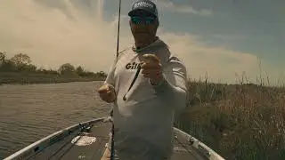 Are You Ready for the Mega Bopper? | NetBait