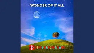 Wonder of it All