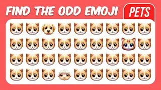 Find the Odd One Out - Cute Pets Edition 😻🐶 | Easy, Medium, Hard Levels