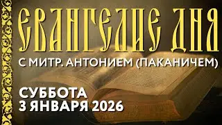 Толкование Евангелия с митр. Антонием (Паканичем). Суббота, 3 января 2026 года.
