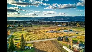 COURT ORDERED SALE Agribusiness Orchard Country Estate | 4380 Wallace Hill Road Kelowna, BC
