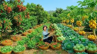 Relax With Harvesting Produce: Papaya, Sweet Leaf, Choi Moi Greens, Cabbage, Puffed Rice, Pineapple