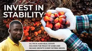 How to Grow Your Wealth with Oil Palm Agro Real Estate Investment in Nigeria