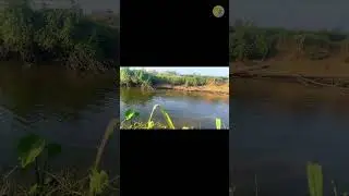 Fishing Adventure in Vietnam&rsquo;s Countryside Short