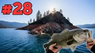 Cold Water Bass AREN'T Where You Think They Are, January Isolated Deep Cover: Why One Piece Is it