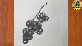 Grapes Drawing | Easy Step-by-Step Angoor Sketch for Beginners | Simple Pencil Drawing Tutorial