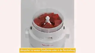 Moulinex A320 Zerkleinerer