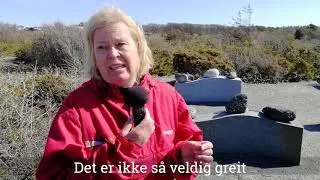 M&oslash;len  -  rombeporfyrkonglomerat