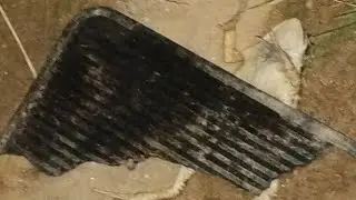 conte&uacute;do acabou entt Br de FF