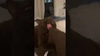 He Regretted His Decision 😂