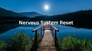 3 Hours Nervous System Regulation for Deep Rest & Burnout Recovery