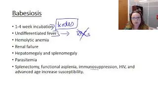 Babesia microti