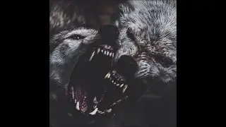 DOUGH NETWORKZ & DJ SHAY WOLF PACK VOL. 1 GOHAN - CYPH X CHUWEE #RESTINPEACEDJSHAY #DOUGHNETWORKZ
