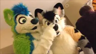 Alpha WereFox's 2015 Midwest Furfest Movie
