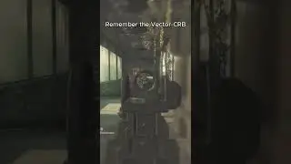 Remember the Vector CRB From Cod Ghosts?