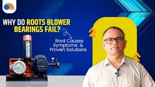 Why Do Roots Blower Bearings Fail? Root Causes, Symptoms, and Proven Solutions