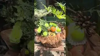 Luxury Fruit & Flower Basket with Succulent #FruitBasket #FlowerArt #SucculentDesign #ArtOfGifting