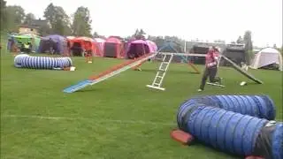 Br&aring;rud stevnet