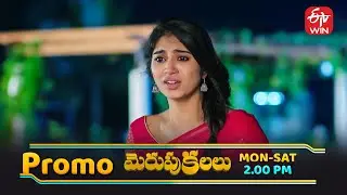 Merupu Kalalu Latest Promo | Episode No 161 | 2nd December 2025 | ETV Telugu
