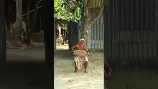 MOST VIRAL KING COBRA SNAKE PRANK ON GRANDPA! | SAGOR BHUYAN #snakeprank #viral #shorts