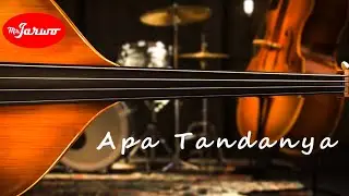 Mr. Jarwo - Apa Tandanya (official video lyric)