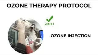 Ozone therapy injection for a dog