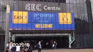 European Congress on Obesity 2019