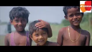 Max Foundation